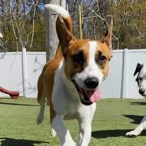 Meet your Posher, Karyn